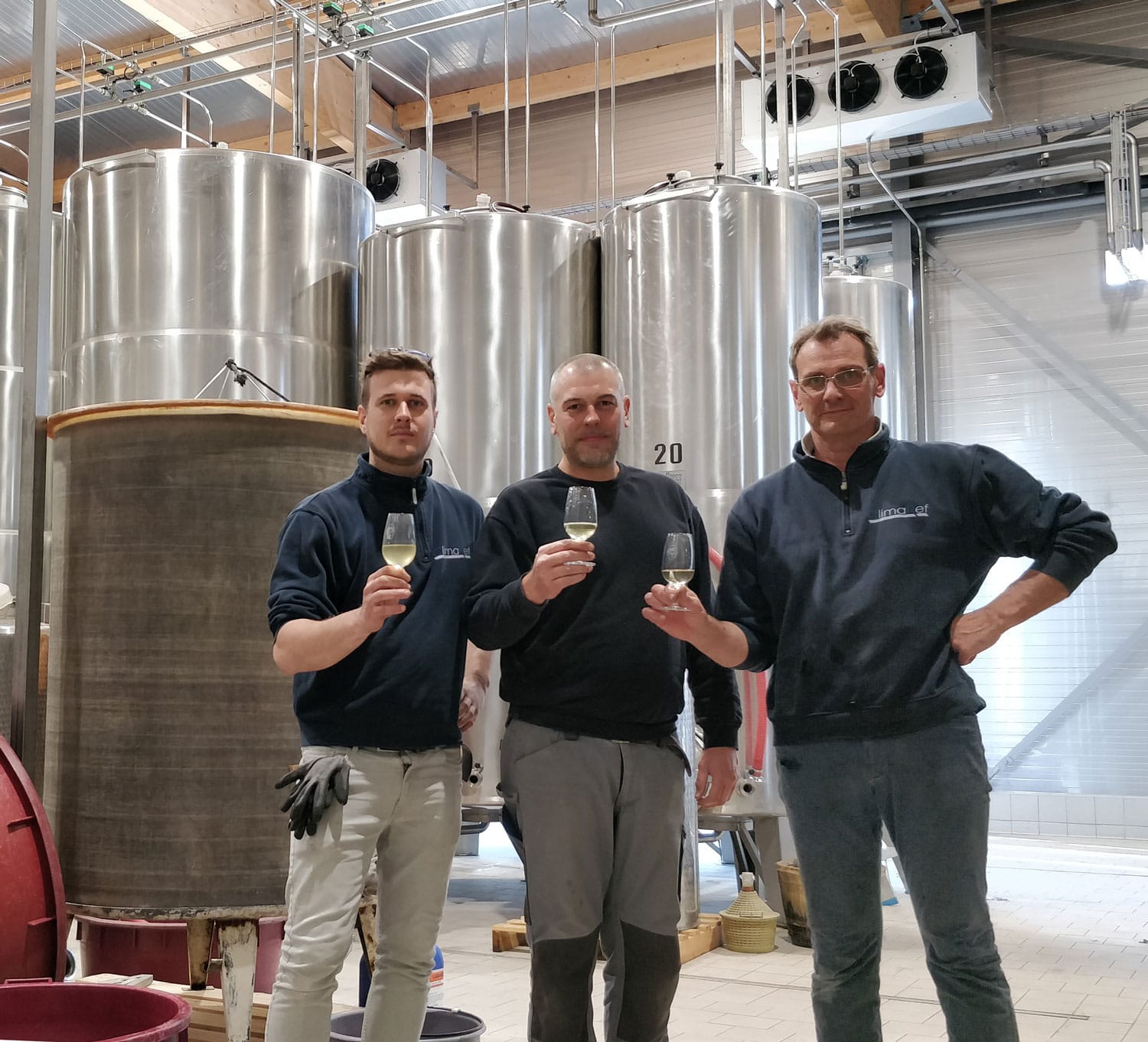 impianto_refrigerazione_canitna_vinicola_assistenza impianto refrigerazione cantina vinicola