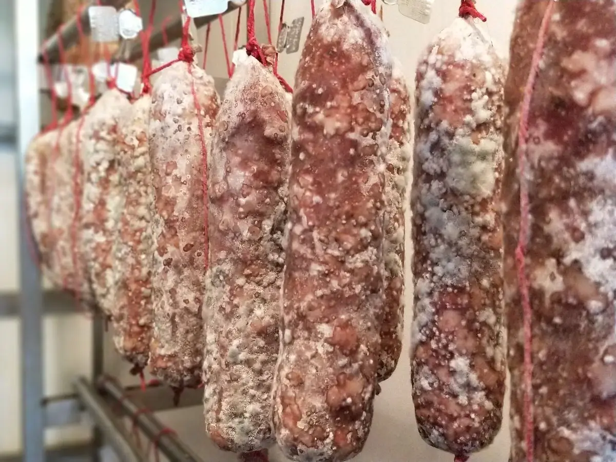 manutenzione degli impianti di stagionatura: salami