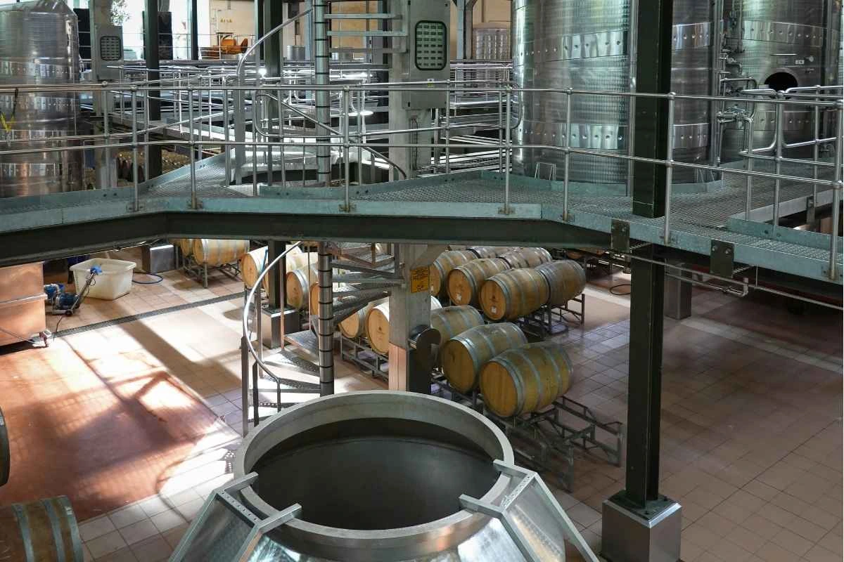 temperatura in cantina